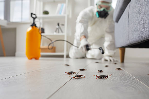 Commercial Kitchen Cockroach Control in Stonegate